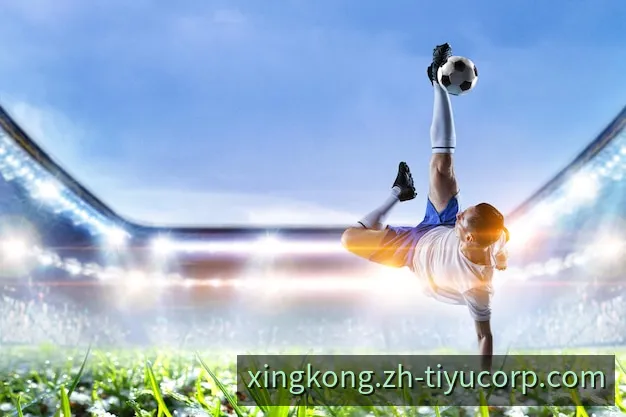 星空H5移动端与网页端自适应访问中枢预览